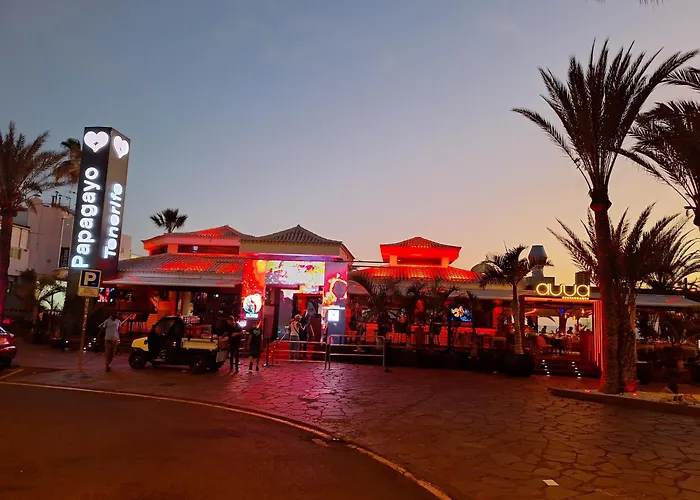 公寓 Ocean Panorama - In Playa De Americas Tenerife 美洲海滩