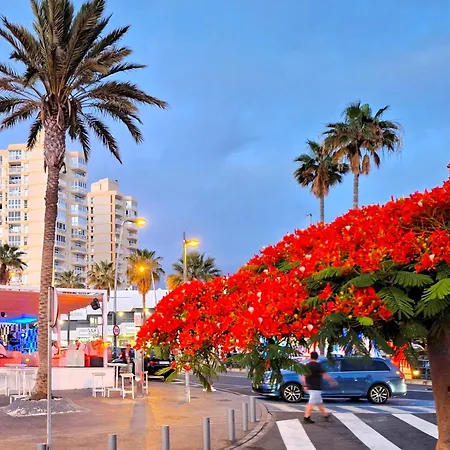 Ocean Panorama - In Playa De Americas Tenerife * Playa de las Americas (Tenerife)